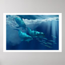 Search for dolphin posters Playing