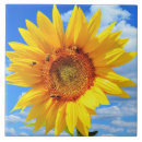 Search for sunflower tiles Bee