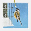 Search for chickadee christmas tree decorations Winter