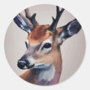 Search for wild deer stickers Animal