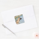 Search for swimming dog stickers Pet