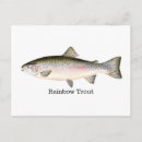 Search for rainbow fish postcards Fishing