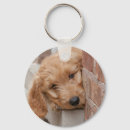 Search for peek key rings Cute