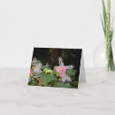 Search for tropical butterfly cards Butterflies