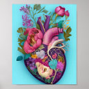 Search for anatomical heart art Aorta