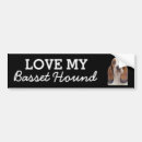 Search for basset bumper stickers Pets