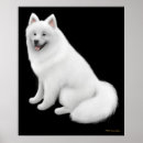 Search for samoyed art Puppies