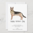 Search for blue heeler seasonal cards Watercolor