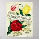 Search for catalogue art Antique