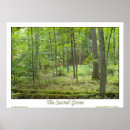 Search for smith posters Trees