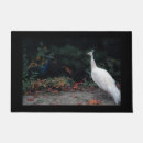 Search for peacock doormats Wildlife