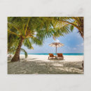 Search for beach chair cards Palm tree