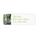 Search for lemur monkey labels Wildlife