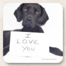 Search for black labrador coasters Animal