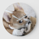 Search for cute corgi art I love corgis