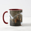 Search for cute squirrel mugs Photography