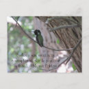 Search for hummingbird postcards Tree