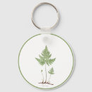 Search for roots round key rings Nature