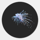 Search for lionfish stickers Aquarium