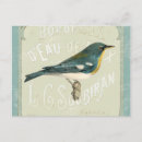 Search for vintage bird postcards Decorative