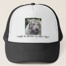 Search for tigers hats Feline