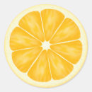 Search for pulp gift wrap Citrus