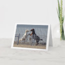 Search for horse valentines day cards Animal