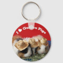 Search for guinea pig key rings Rodent