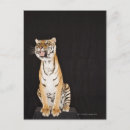Search for tiger roaring postcards Nature