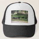 Search for turkeys hats Birds