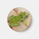 Search for tiny small magnets Animal