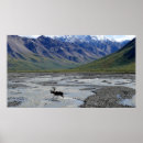 Search for vintage reindeer art Nature