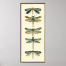 Search for dragonfly posters Insects