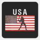 Search for baseball flag stickers United states