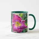 Search for daylily mugs Daylilies