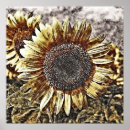 Search for vintage sunflower posters Flowers