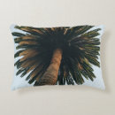 Search for palms photography Ocean