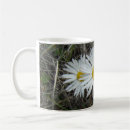 Search for aster kitchen dining Wildflower