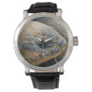 Search for tortoise watches Reptile