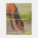 Search for horse blankets Chinese