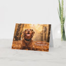 Search for funny dog thanksgiving cards Dogs