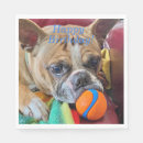 Search for brindle Cute