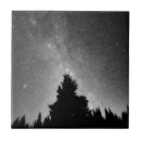 Search for night tiles Woods