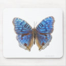 Search for ones mousepads Cute