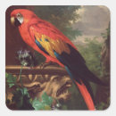 Search for scarlet macaw stickers Birds