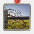 Search for fence christmas tree decorations Ranch