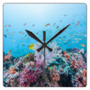 Search for scuba diving clocks Beach