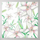 Search for white lily posters Botanical