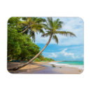 Search for lanka magnets Island