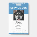 Search for dog services Modern